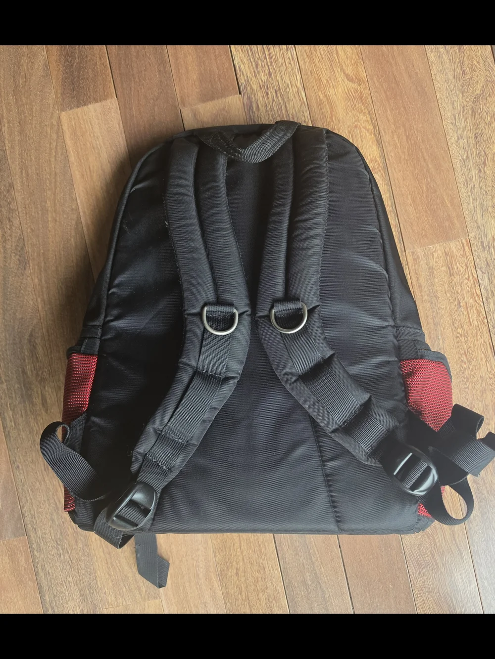 Black and Red Everyday Padded Laptop Travel Backpack